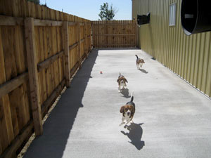 Enclosed Outdoor Exercise Area