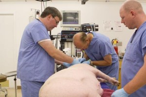 Surgery on Pig