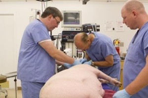 Surgery on Pig
