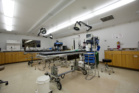 Preclinical research surgery suite