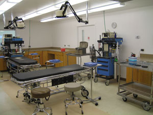 Preclinical research surgery suite
